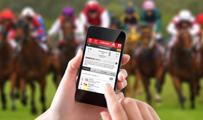 Betting on Horse Racing Online